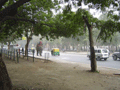 You get all kinds of traffic on the streets of the capital - it brings new meaning to the term "trunk road".
