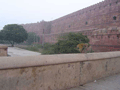 Agra's Red Fort - and a monkey
