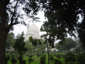 And, look ... the Taj Mahal! Peeking through the trees, its symmetry makes it as fascinating and awe-inspiring from any angle.