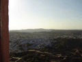 Gazing out over Jodhpur.