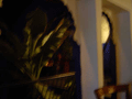 Savage Garden - a swish restaurant with a bistro / wine-bar ambience, just asking for someone to muck about with arty blurriness on their camera.