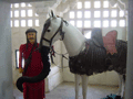 A horse who thinks he might just be an elephant. It's good that, in this day and age, there are support networks for those like him - he needn't feel alone.