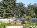 A rare area of repose in central Bombay: the gardens of Horniman Circle.