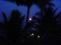 The moon and deep blue sky from the top of our house at night.