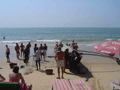 On Candolim Beach, we helped land this fishing boat, pushing it up onto the wooden blocks, so the fishing guys could unload the mackerel they caught. One fisherman tried to sell me handicrafts.