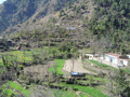 The view from the toy train: fields and hillside on the way up to Shimla.