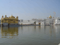 The causeway across the Harmandir, the culmination of a pilgrim's visit, after having wandered clockwise around the tank. Behind the Causeway is the Akal Takht, the building that Indira Gandhi's troops stormed in the 1984 violence.